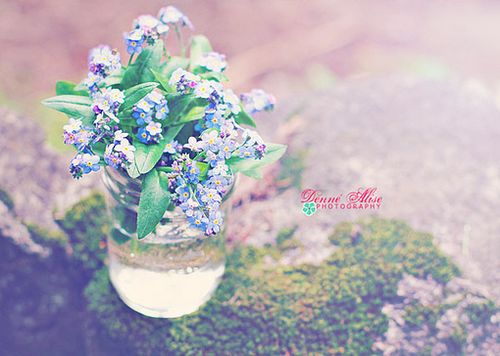 �����ж�����ǽ�赲���ܻ���һ����������������� (1)