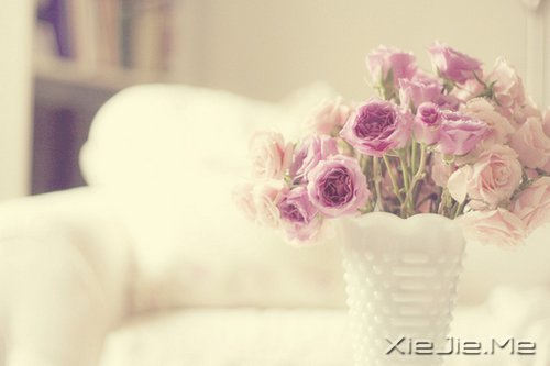 ��һ�����ɣ�ȥ�������� (5)