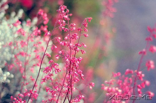 ��Ҫ�������ˣ���Ҫ����Լ� (2)