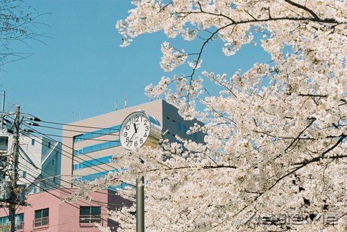 ���۷���ʲô�����ƴ��Լ� (9)