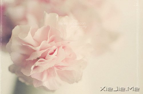 ������;���߹���֪��ǳ (2)