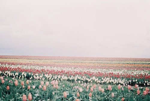 �ڴ�һ������ľ��룬�����������õļ��� (6)