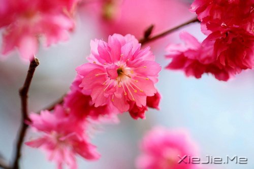 �Ҳ��������������������Լ� (3)