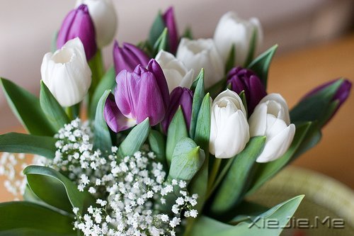 ĬȻ�మ���ž�ϲ�� (6)