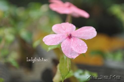 ��ֻ�ж���������֮�أ����ܿ���ʱ��֮�� (8)