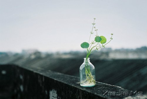 ���������;�У������Լ� (12)