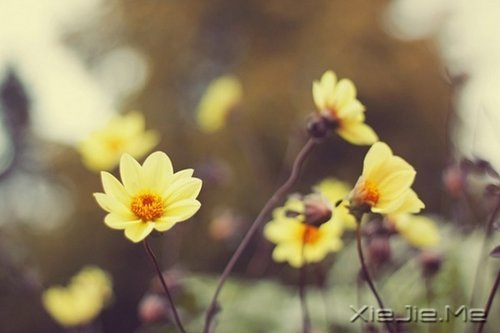 ���µģ��������� (9)