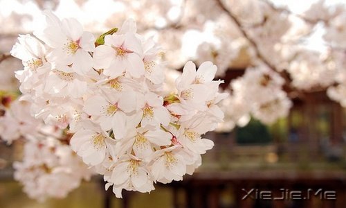 �簲�����һ�����ɣ�ȥ�������� (5)