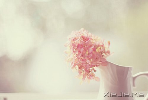 ��������ҵ�������· (7)