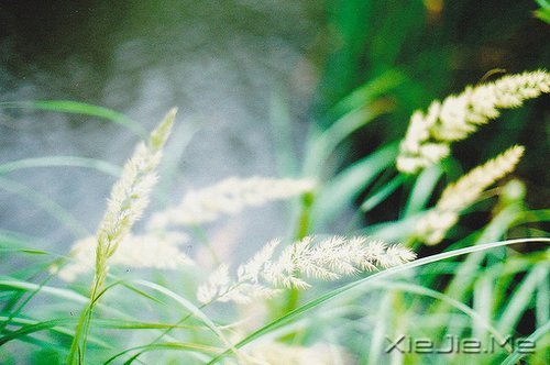 ���������ʱ���������������Ǹ�������ʱ�� (12)