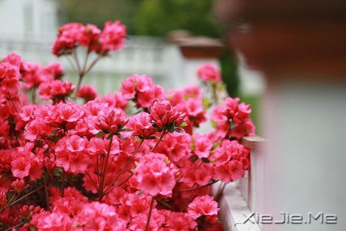 ��������˲������ں�ҹ���������û�й� (11)