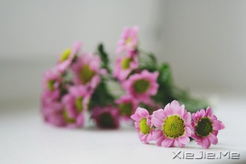 �簲�������Ҫ�ģ����¶������ (10)