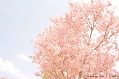 ���������õľ����������ǲ���˼������һ�� (8)