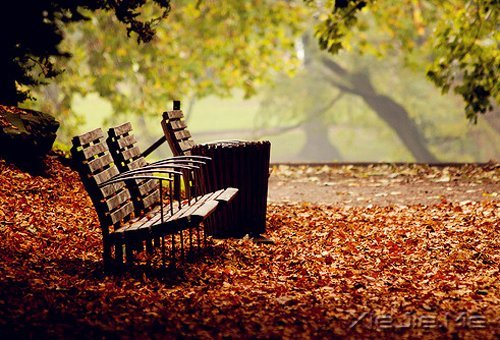 �簲���������������ˮ�����ڡ����� (7)