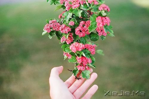 �簲���Ϊ�˵��㣬�Ҵ����˵��ҵ��� (10)