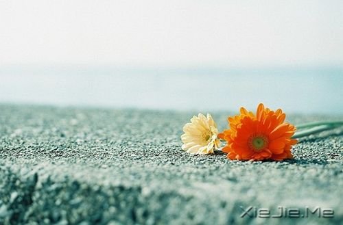 �簲�����Ȼ����������һ�ֳɳ� (8)