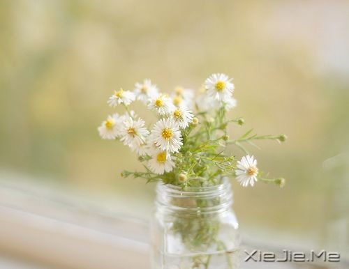 ��������ഺ������ʹ��ȴ�����޷��� (2)