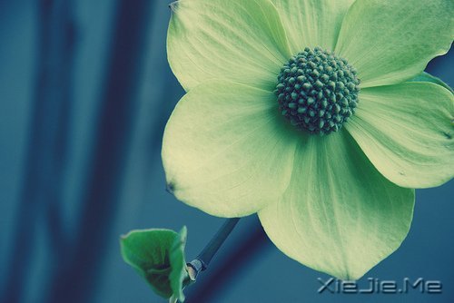 �簲�����δ���������������ǰ�һ���׸����� (2)