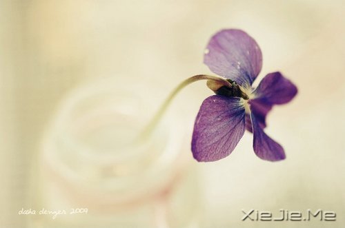 �簲�������������ߣ�Ҳ����һ�����������ͽ (8)