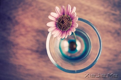 �������ԽŬ����Խ���� (6)