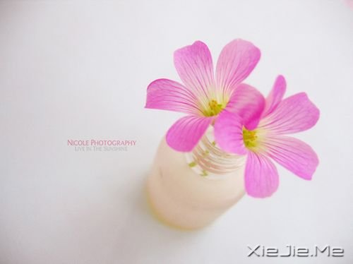 �簲����������ĵ����ˣ�����ײײ�ļ�ǿ (1)