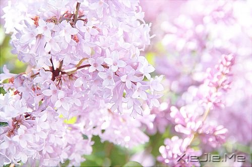 �簲��������ܻ������һ�����ᣬ������������ (10)