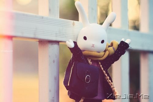 �������ʱ���ǵ��е�����ȥ�ˣ��ز��� (2)