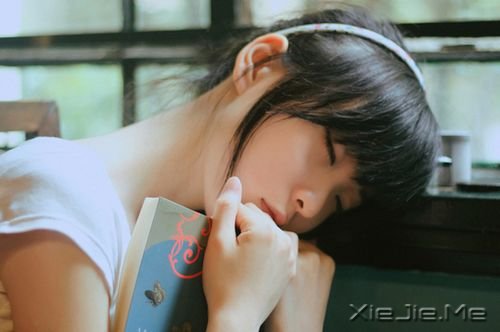 �����������̫͸����ͻ�������Ĺ¶� (2)