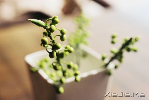 ��������ҵ�Ը���ǣ�һ��˯��Сʱ�� (7)