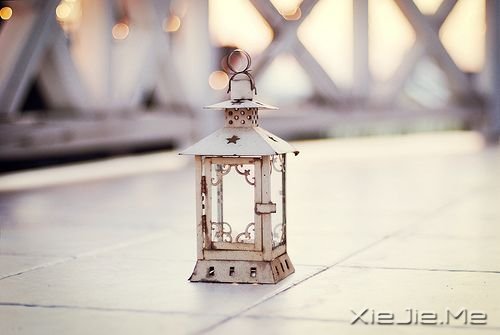 �����������ѧ����ϧ�Լ�������Ż���ϧ�� (8)