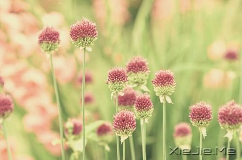 Ҫô�����ӵ��ϣ�Ҫôƴ��Ӯδ��