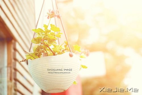 С����ͼƬ (3)