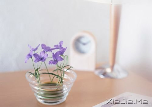 ����������ˣ������������Լ� (5)