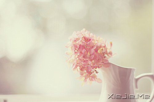 20�굽30��Ӧ��ѧ���5���� (3)