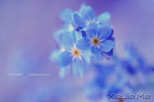 ��������һλ���˵ľž仰 (3)