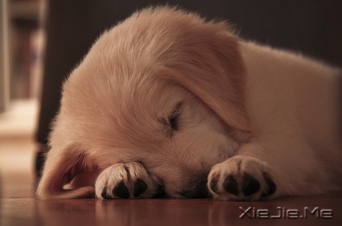 ��������֤�����9�仰