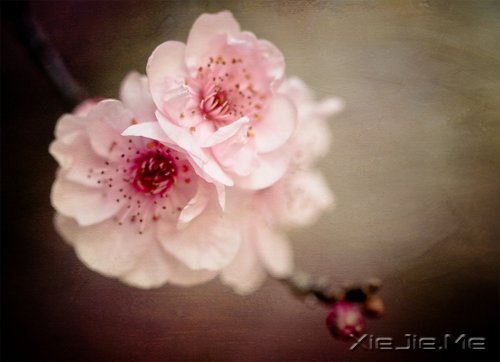 �������������������������� (5)