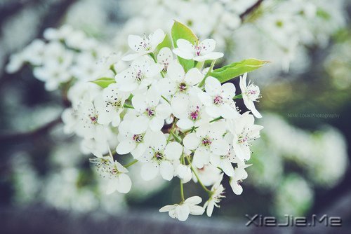 �����Լ������κ��ź� (11)