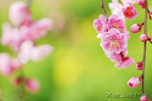 ͨ���Ҹ�������20��С��ʿ