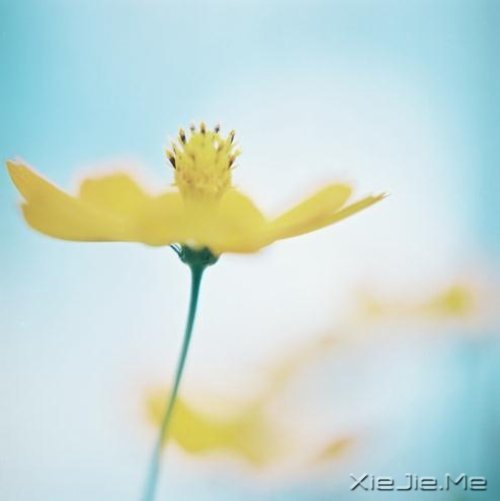 ����ľŴ��ǻ� (2)