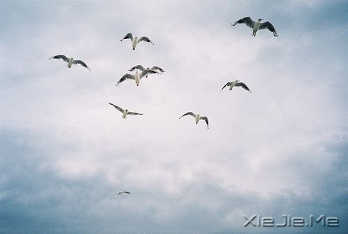 ��������Щ�㲻֪���Ĵ���