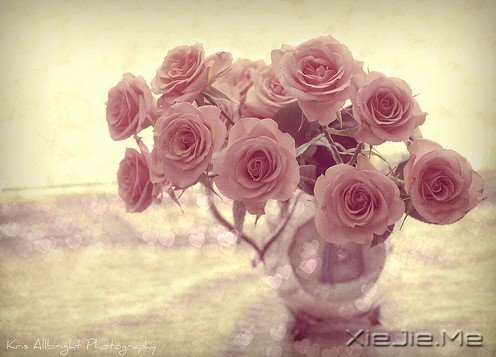 ���֣�ʲô������������Ư�����£�