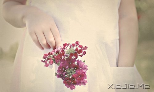 ���֣�Ψ������������㲻��