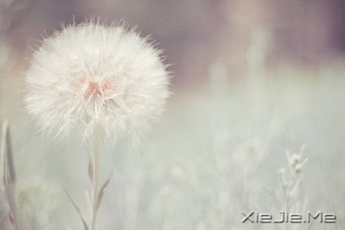 ��һ����ʱ��ı��Լ� (3)