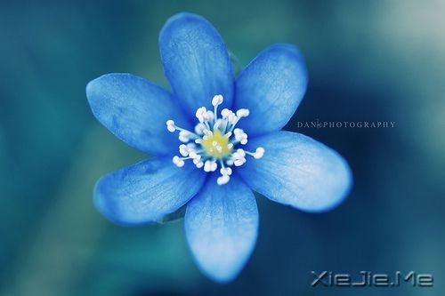 ����һ����15��ѧϰϰ��