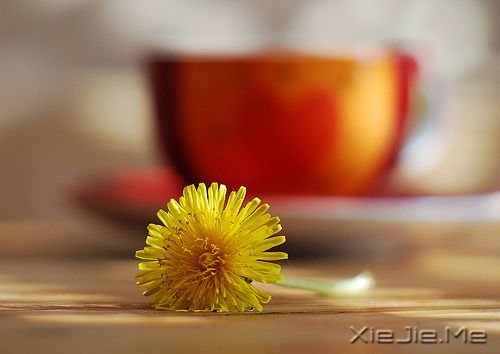 С����ͼƬ (8)